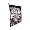 Elite Screens Manual SRM 120 Projection Screen; 16:9, MaxWhite FG