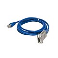Digi 6 RJ-45 to DB-9 Female Adapter Cable