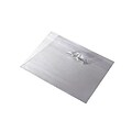 Blanks/USA NBH1SP Name Tag Holders, Clear, 100/Pack