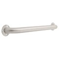 Delta® 1 1/2 x 24 Exposed Mount Grab Bar, Stainless Steel