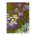 Trademark Fine Art Waterlilies and Agapanthus 14 x 19 Canvas Art