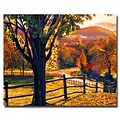 Trademark Fine Art Autumn Fire Colors 18 x 24 Canvas Art