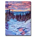 Trademark Fine Art Winter Solstice 18 x 24 Canvas Art