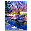 Trademark Fine Art Snowy Park 24 x 32 Canvas Art