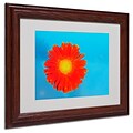 Trademark Fine Art Orange and Blue 11 x 14 Wood Frame Art