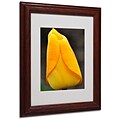 Trademark Fine Art Perfect Yellow Tulip 11 x 14 Wood Frame Art