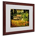 Trademark Fine Art Country Road In Summer 16 x 20 Wood Frame Art