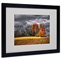 Trademark Fine Art Autumn Field 16 x 20 Black Frame Art