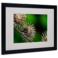 Trademark Fine Art Prickly 16 x 20 Black Frame Art