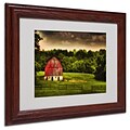 Trademark Fine Art Summer Evening On the Farm 11 x 14 Wood Frame Art