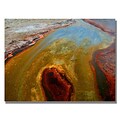 Trademark Fine Art Yellowstone Rusty Geyser 30 x 47 Canvas Art