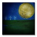 Trademark Fine Art Moonlight Minute 35 x 35 Canvas Art