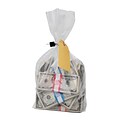 MMF Industries™ Currency Deposit Bags, Clear, 20 x 12