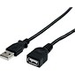 Startech 6' USB A Male to USB A Female Extension Cable; Black