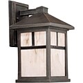 Aurora® 14 x 8 100 W 1 Light Outdoor Lantern W/Honey Glass Shade, Painted Rust