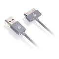 Iogear® 3.3 USB to 30-Pin Charge and Syn Cable; Gray