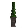 Laura Ashley 69 Preserved Spiral Boxwood Topiary in 16 Fiberstone Planter, Black/Bronze