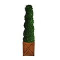 Laura Ashley 59 Preserved Spiral Boxwood Topiary in 13 Fiberstone Planter