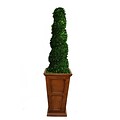 Laura Ashley 69 Preserved Spiral Boxwood Topiary in 16 Fiberstone Planter, Brown