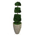 Laura Ashley 58 Preserved Spiral Boxwood Cone Topiary in 16 Fiberstone Planter