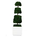 Laura Ashley 50 Preserved Spiral Boxwood Cone Topiary in 14 Fiberstone Planter, White