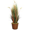 Laura Ashley 65 Onion Grass With Cattails in 17 Fiberstone Planter