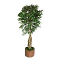 Laura Ashley 83 Willow Ficus Tree With Multiple Trunks in 16 Fiberstone Planter