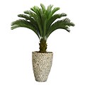 Laura Ashley 62 Cycas Palm Tree in 16 Fiberstone Planter