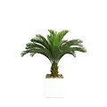 Laura Ashley 54 Cycas Palm Tree in 14 Fiberstone Planter, White