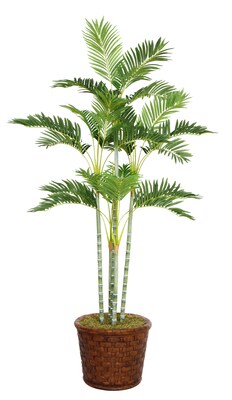 Laura Ashley 73 Palm Tree in 17 Fiberstone Planter