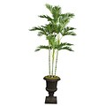 Laura Ashley 82 Palm Tree in 16 Fiberstone Planter, Black/Gray