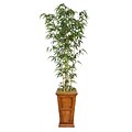 Laura Ashley 91 Natural Bamboo Tree in 16 Fiberstone Planter, Brown