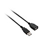 V7® 6' A to A M/F USB 2.0 Cable With Standard Copper Conductor; Black
