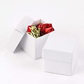HBH™ 2-Piece Mix-and-Match Favor Boxes, White Shimmer