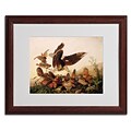 Trademark Fine Art Red-Shouldered Hawk 16 x 20 Wood Frame Art