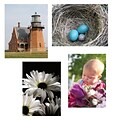 S&S® 17 x 11 Thera Jigsaw Foam Puzzles Set A, Baby/Lighthouse/Robins Nest/Daisies