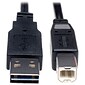 Tripp Lite 10' Universal Reversible USB 2.0 A Male to B Male USB Cable; Black