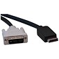 Tripp Lite 6' M/M DisplayPort to DVI Single link Adapter Cable; Black