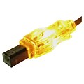 QVS® 6 USB 2.0 A/B Male Lighted Cable With Orange LEDs; Translucent