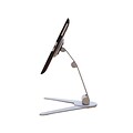 Ergotech Desk Stand For Apple iPad 2/3/4; Silver