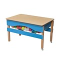 Wood Designs™ 41 Plywood Absolute Best Sand and Water Sensory Center With Top, Blueberry
