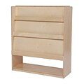 Wood Designs™ Literacy 42(H) Fully Assembled Plywood Deluxe Double-Sided Library