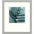 Amanti Art Steven N. Meyers Lily Leaves Framed Print Art, 16 3/4 x 14 3/4