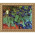 Amanti Art Vincent Van Gogh Irises In The Garden Framed Art, 19 1/2 x 23 1/2