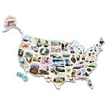 Chenille Kraft® WonderFoam® GIant USA Photo Puzzle Map