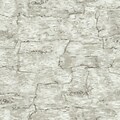 Inspired By Color™ Country & Lodge Birch Bark Wallpaper, Off White
