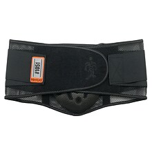 ProFlex® XL Mesh Back Support W/Lumbar Pad