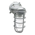 CCI® Incandescent Ceiling Mount Weather Tight Light Fixture; 100 W, Silver