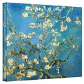 ArtWall Almond Blossom Gallery Wrapped Canvas Art By Vincent Van Gogh, 24 x 32