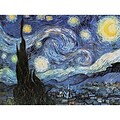 Reeves™ 12 x 16 Number Artists Collection Paint, Starry Night